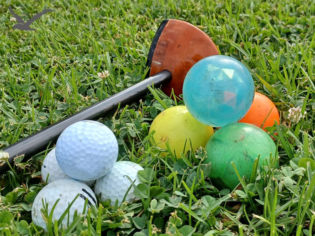 Bhinéka bal golf park